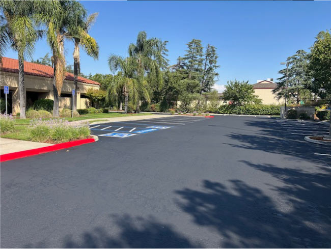 Pristine new asphalt parking lot featuring bright blue handicap accessible stalls and red fire lane curbs near a commercial building
